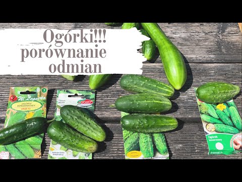 Wideo: Powszechne rodzaje ogórków - odmiany ogórków do ogrodu