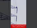 Breaking News : Karachi me mehngai se pareshan shehri tower par chadh gaya | Petrol price crisis