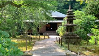 Tokeiji Temple in Kamakura, a beautiful refuge for women