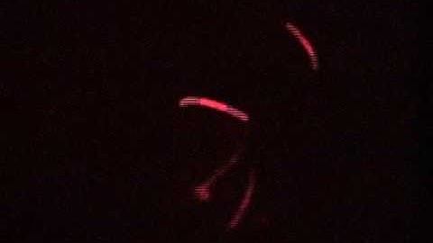 Live Video Delay 3 (no audio)