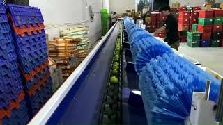 VSEE sorting machine:A Name You Can Trust#lime #sorting