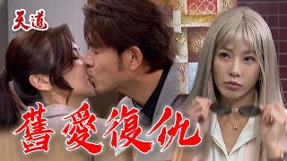 天道 EP237預告 楊總發現胡蝶讓少懷戴綠帽！？復仇女神子茜滿血回歸 一切都在計畫內 ｜@setdramatw