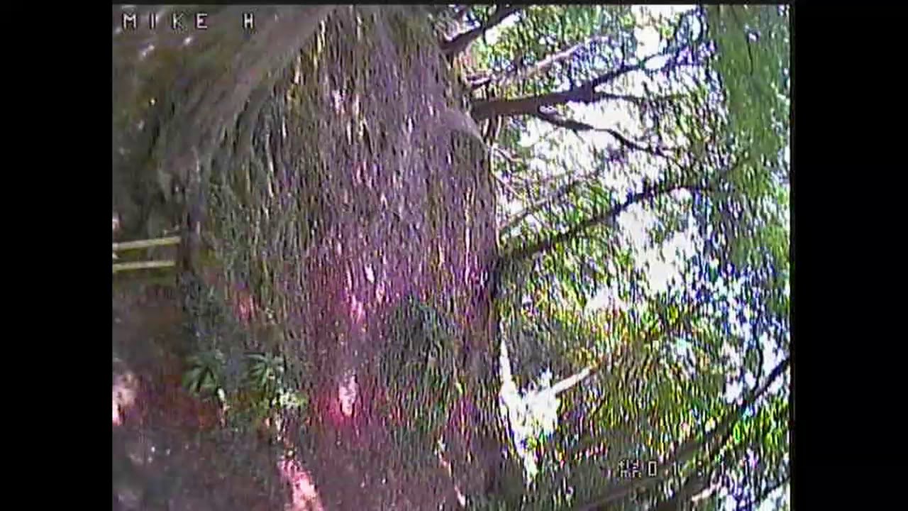 SPC 95X 95mm 3mm Arm Frame Racing Drone Big fun in a small package