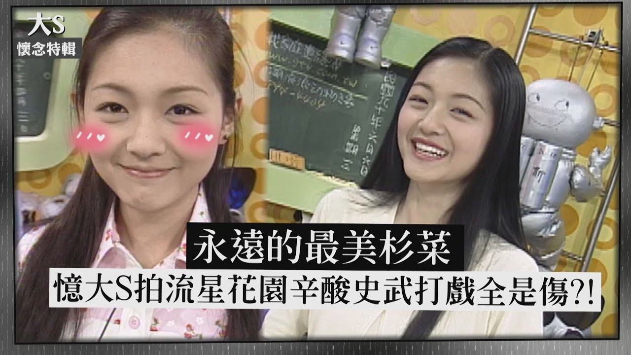 【大S懷念特輯】永遠的最美杉菜! 憶大S拍流星花園辛酸史 化身女打仔武打戲全是傷