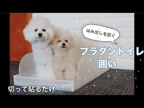 プラダン活用diy 愛犬用のトイレトレー 囲い を手作り おしっこの漏れ はみ出し 飛び散り防止に Youtube