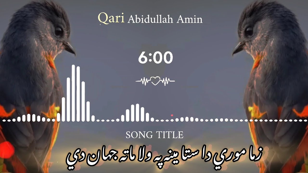 زما موري داستا مینه په ولا ماته جنت دي| نوی نظم 2026 Pashto New Nazam #pashto #pashto 