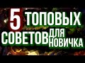 КАК ПОБЕЖДАТЬ НА ПОЛЯХ СРАЖЕНИЙ ? 5 СОВЕТОВ // Hearthstone Battleground / Хартстоун Поля сражений