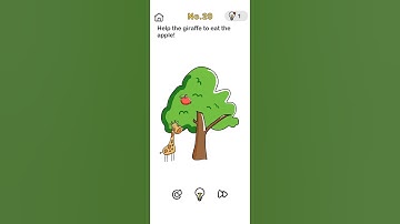 Brain Out Level 20 Walkthrough Solution