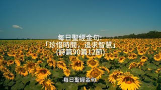 每日聖經金句 :「珍惜時間，追求智慧」(詩篇90篇12節)
