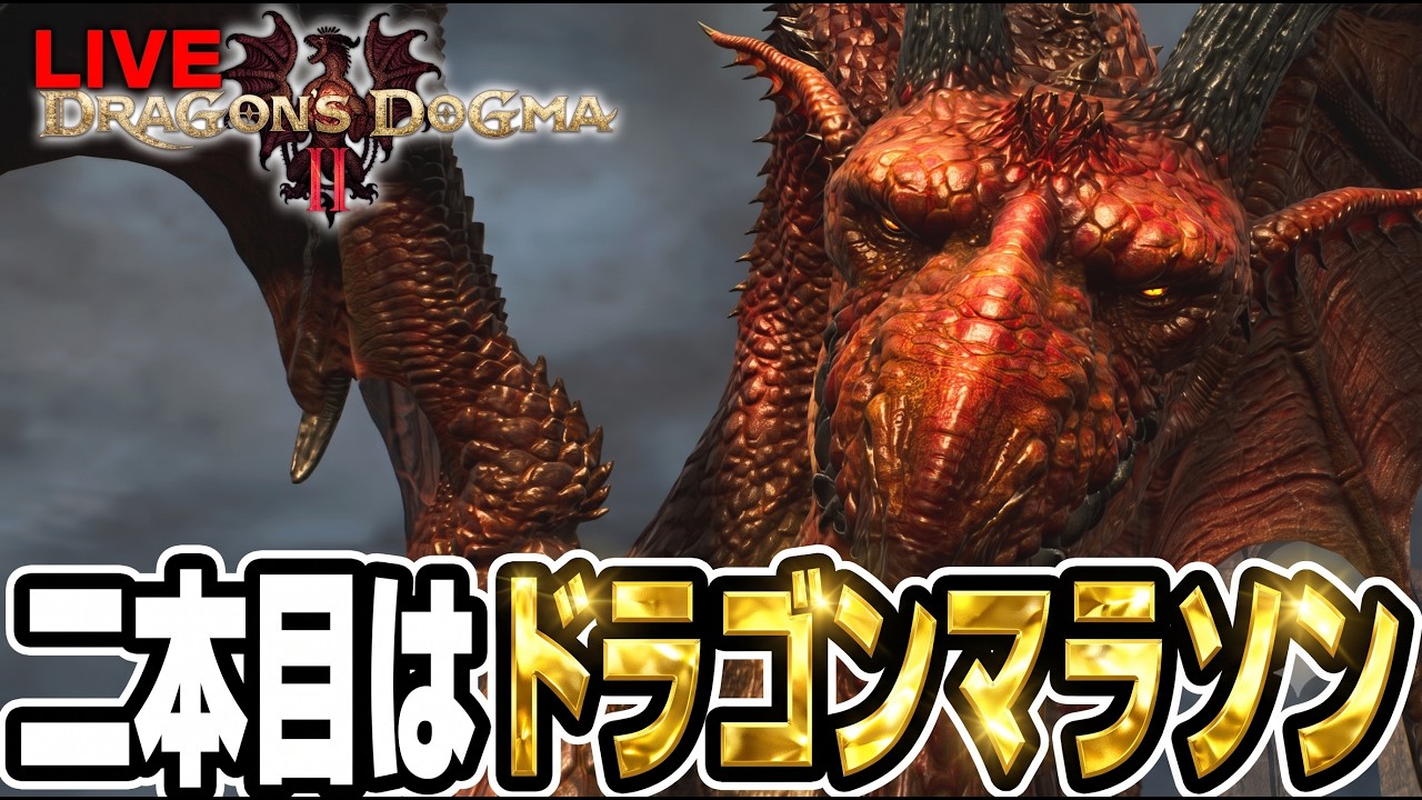 本日は二本立て！ドラゴンマラソンは続いている【ドラゴンズドグマ2