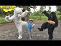 Kung Fu POLAR BEAR vs. Gorilla | Skyheart Mcdonalds eaten by giant monkey animals kids