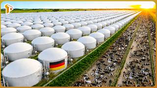 How Germany Converts Millions of Tons of Farm Waste Into a Massive Biogas Industry
