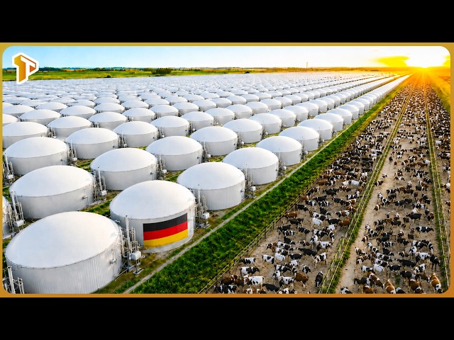 How Germany Converts Millions of Tons of Farm Waste Into a Massive Biogas Industry