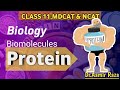 Protein || Biomolecules ||  Biology || Class -11 || Mdcat   ||  Ncat  || Neet