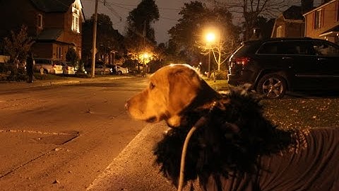 PHP 19강  MySQL 설치,워드프레스 설치,DB 생성,연결