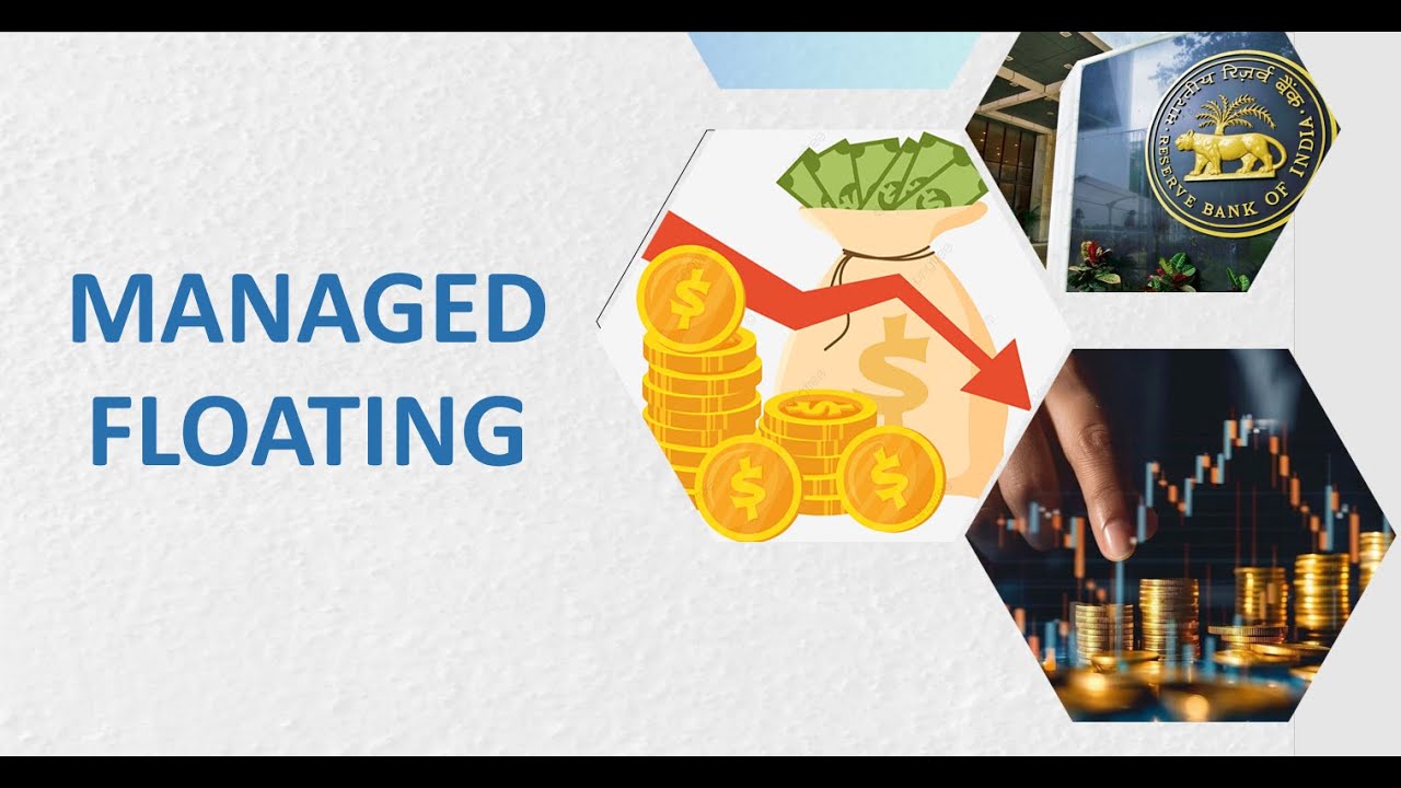 What Is Managed Floating? 12th Macro Economics | Foreign Exchange | CBSE |UP | Bihar Board