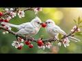 Calming Bird Sounds &amp; Gentle Piano 🌿 Fresh Morning Nature ✨ Relax Your Mind &amp; Deep Sleep