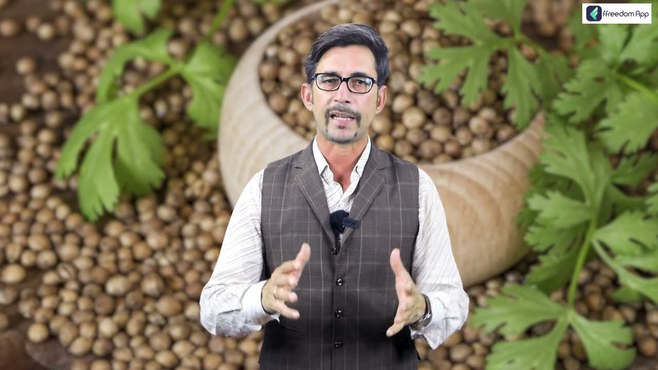धनिया की खेती कब और कैसे करें Complete Guide about Coriander Farming Coriander Cultivation