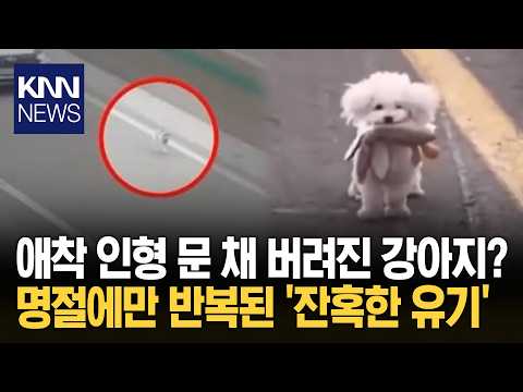 휴게소 도로에 버리고 도망친 주인 낡은 애착 인형만 남은 참담 '현실' / KNN