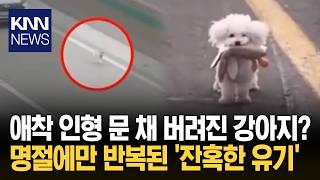 휴게소 도로에 버리고 도망친 주인 낡은 애착 인형만 남은 참담 '현실' / KNN