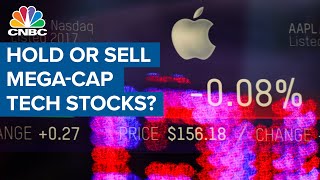 Here's the Investment Committee's outlook on mega-cap tech stocks