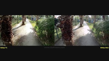 EIS side-by-side test: Estep T1 vs GitUp Git2