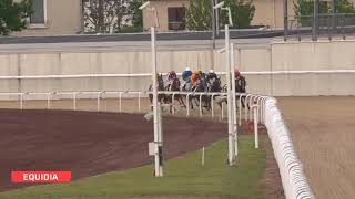 Vidéo de la course PMU PRIX AMMONIUS