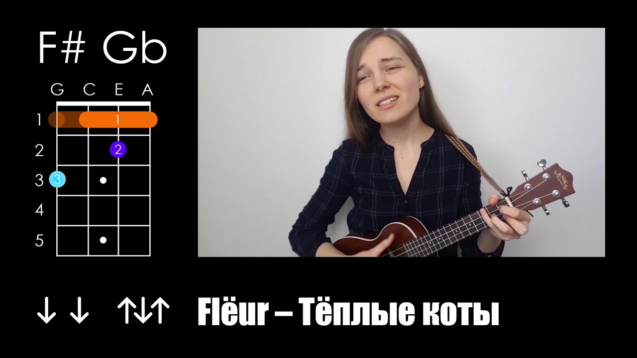 Теплые коты аккорды