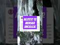 Mensaje del arcángel Cassiel #mensajeangeles #mensajeangelical #mensajesdiarios