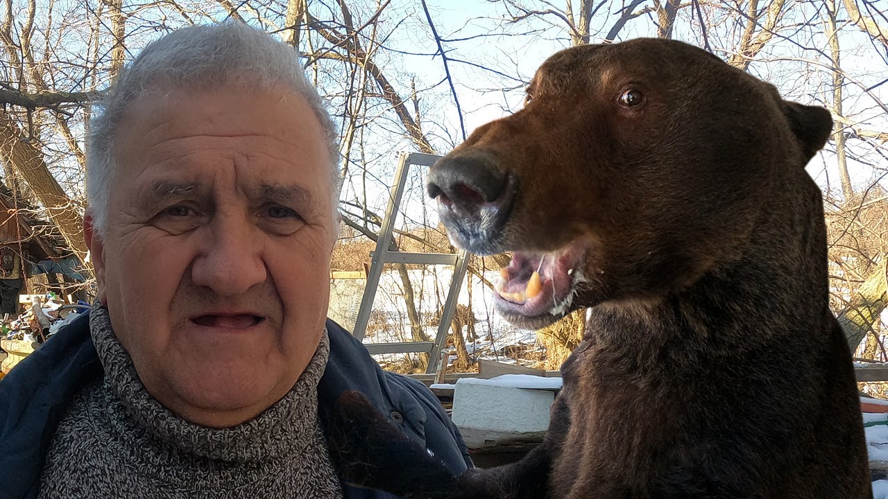 Zašto Eminovi medvjedi ne znaju za zimski san?