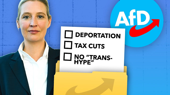 Germany's AfD Manifesto Explained