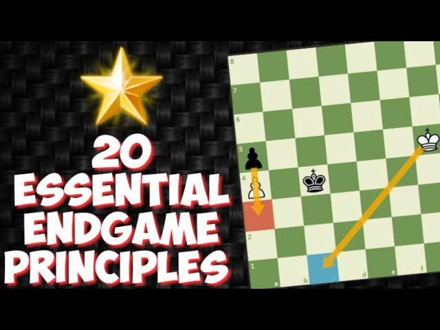 7 Most Important Endgame Principles - TheChessWorld