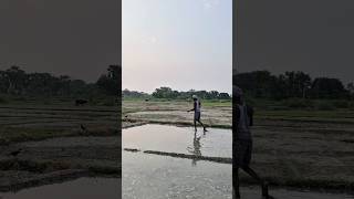 Kheti karne se pahle puja huya👨‍🌾 Rabi vlogs #minivlog #vlog #farming #farmarvlog #pujavlog