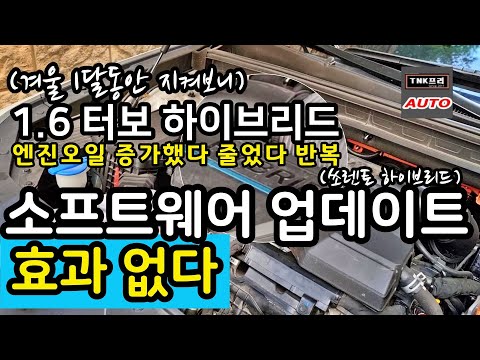 업데이트 효과없다 쏘렌토 1.6터보 하이브리드 오일증가, 겨울 1달간 지켜보니 ( <strong>Kia</strong> Sorento Hybrid <strong>Engine</strong> Oil )