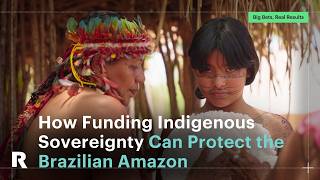 Big Bets, Real Results: How Funding Indigenous Sovereignty Can Protect the Brazilian Amazon