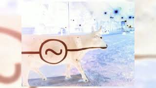 Carmai - Cow Ede.art.studio 2018