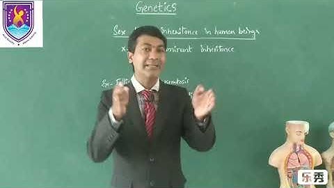 X linked dominant inheritance || Genetics NCERT XII Class || By Nagavelli Prasad