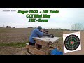 Rossi RS22 vs Ruger 10 22 at 100 Yards No 5