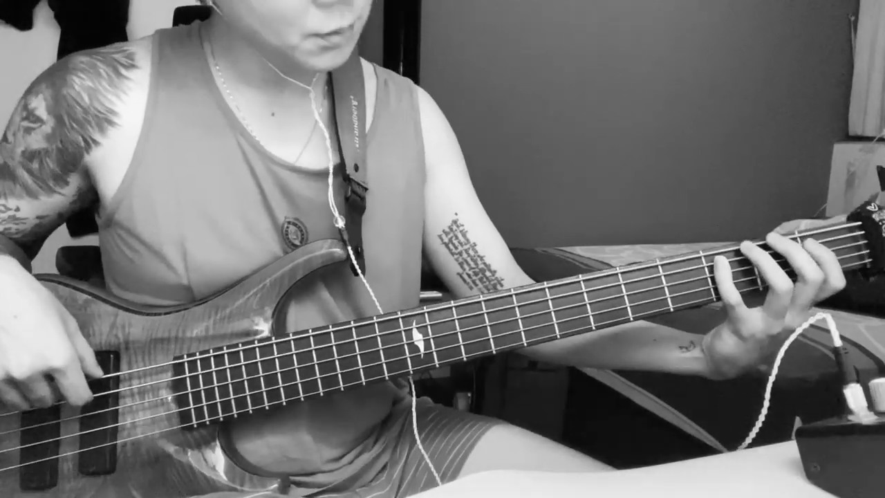 Ye Sheng Dong Wu 野生動物 – Li Ronghao 李榮浩 (Bass Cover) - YouTube