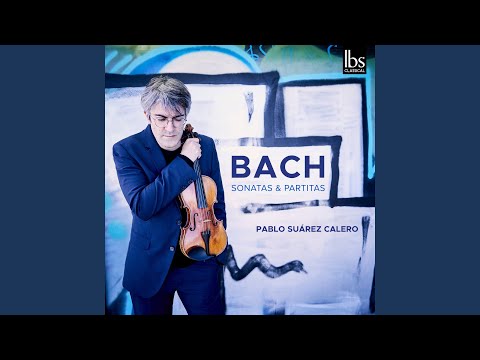 Sleduj Violin Sonata No.2 in A Minor, BWV 1003: III. Andante na YouTube