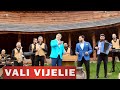 VALI VIJELIE, LEO DE LA ROSIORI & TARAFUL TURNENILOR - Hai, hai, ca viata trece 2020