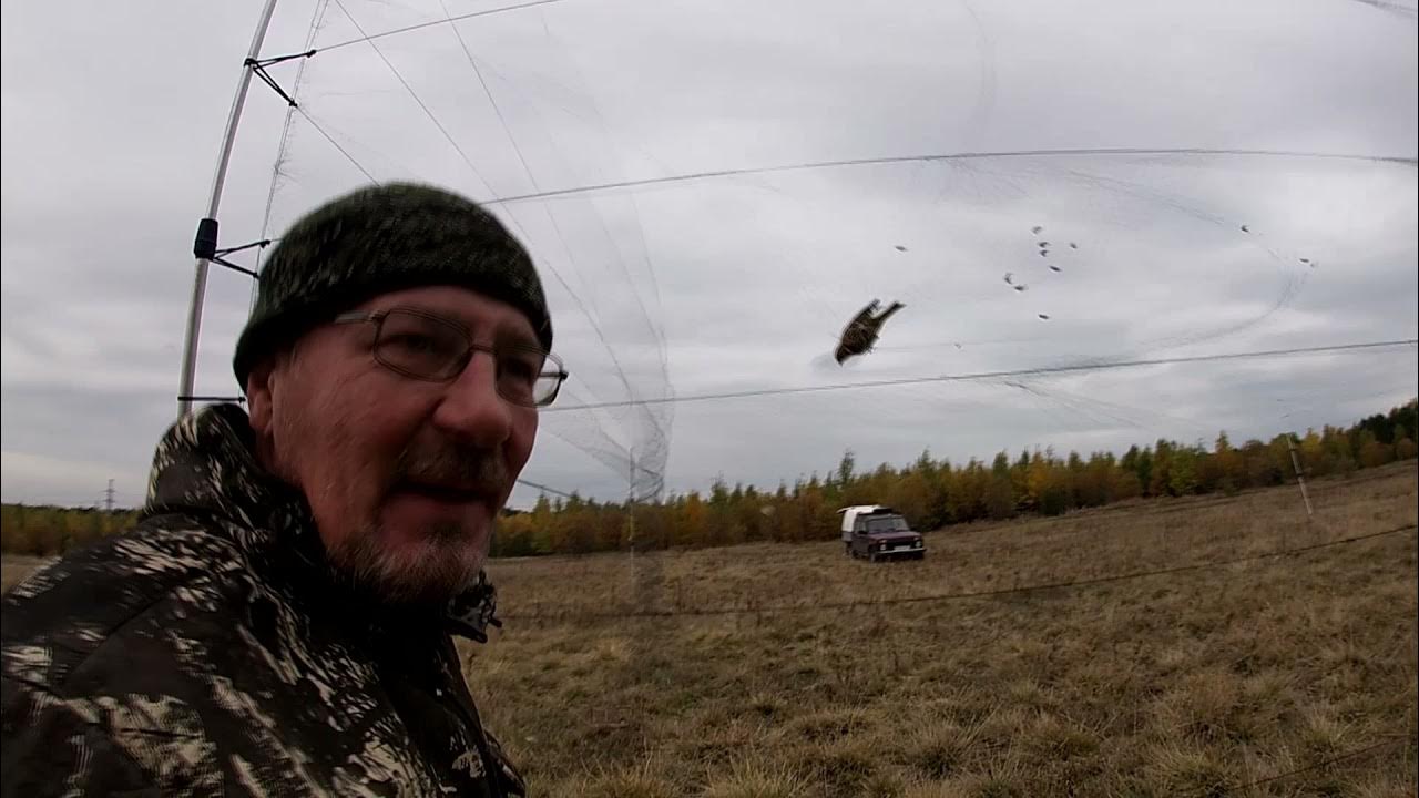 Ловля певчие видео. Ловля певчие видео