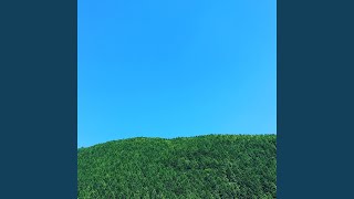 Kokemusu