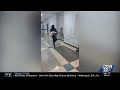 Pig prank leads to early dismissal at May River High School