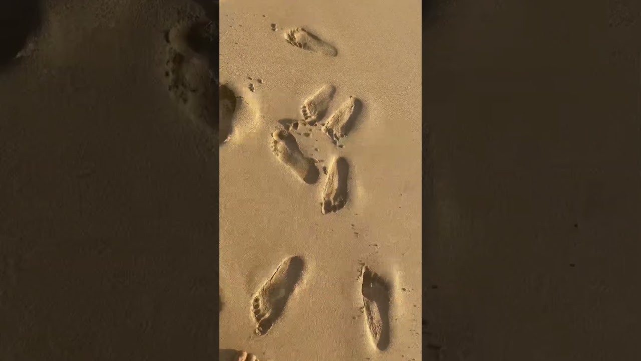 Foot prints in the sand!