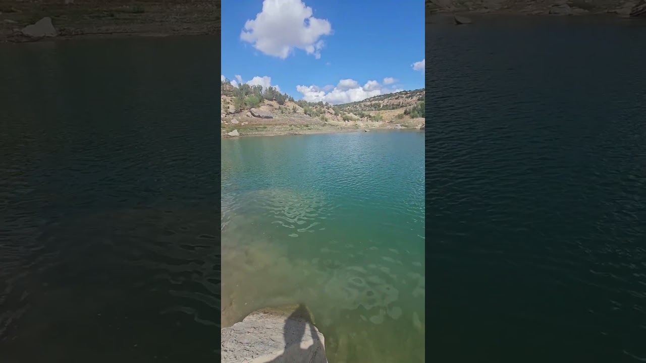 Koa and Irie swimming in Utah 