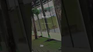 Storywaandai Saja Gw Gantengshorts 
