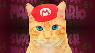 My Cat In Super Mario 64 My Cat In Super Mario 64