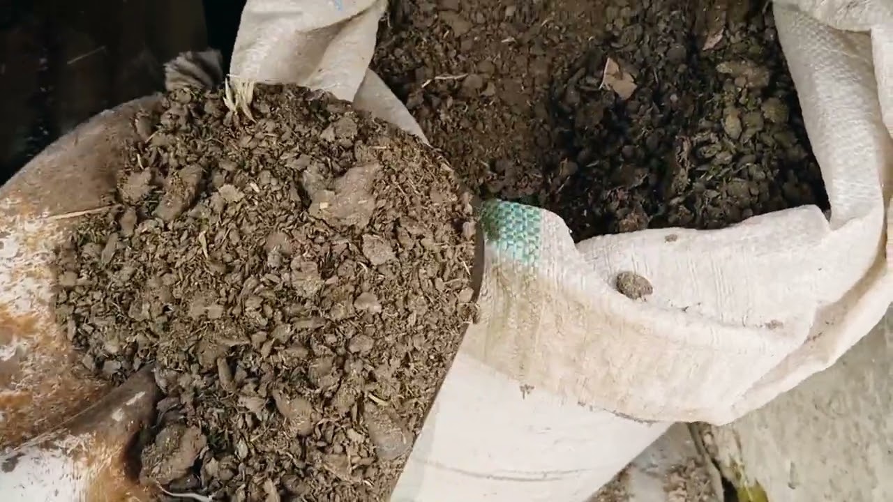 How Do We Enhance Soil Nutrients, Secured And Increase its Longevity ShelfLife.🕚.