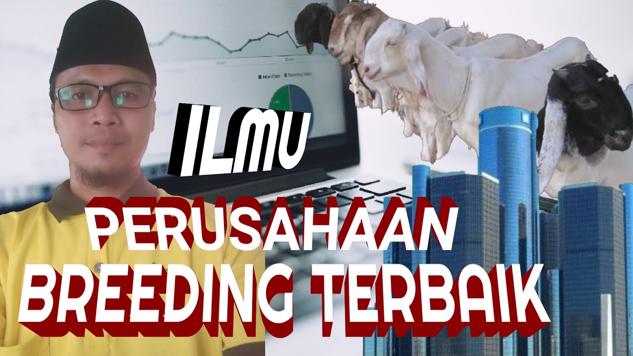 Update: ILMU BREEDING KAMBING TERBAIK DAN SUKSES, tutorial penggemukan